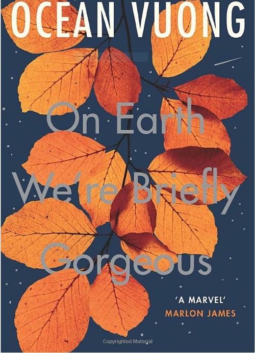 Young Stationers' Book Club - On Earth We're Briefly Gorgeous